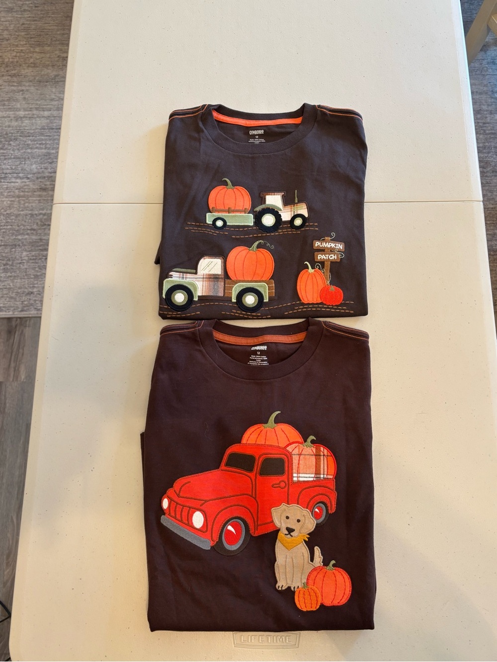 Set/2 Brown Fall Pumpkin Truck Tee - Cute Pumpkin & Puppy Graphics Tee